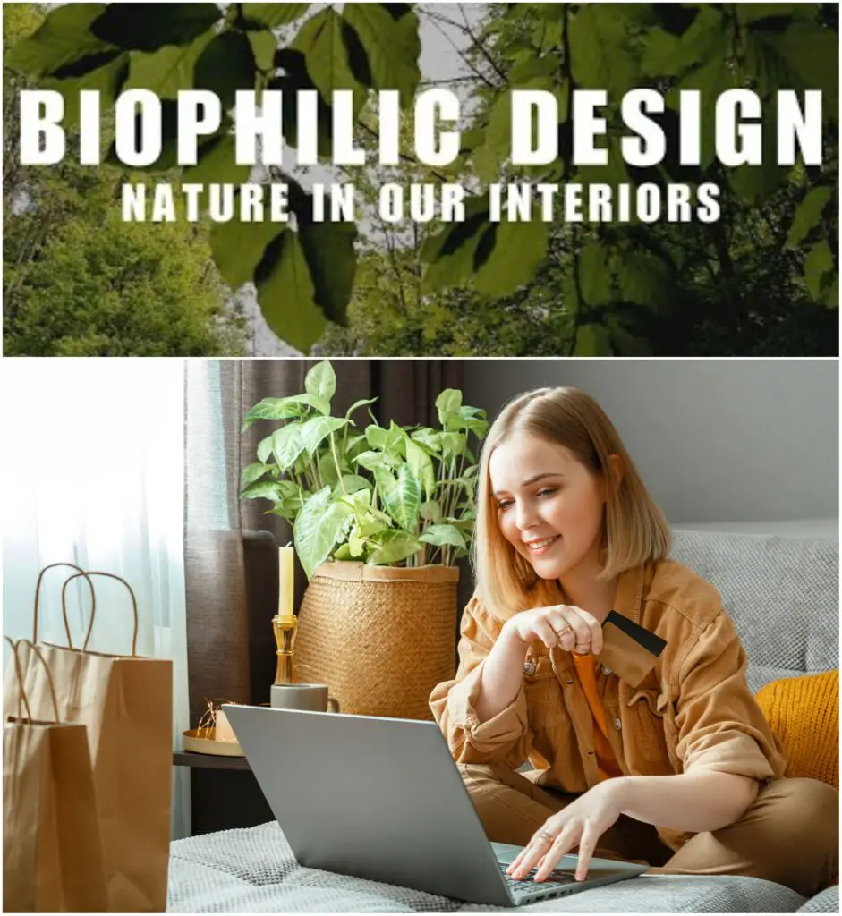 biophilic office design