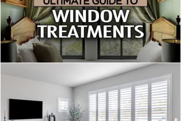 Choosing the Right Window Treatments for Every Room