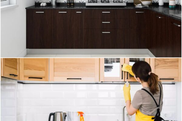 How to Keep Your Home Kitchen in Top Shape?